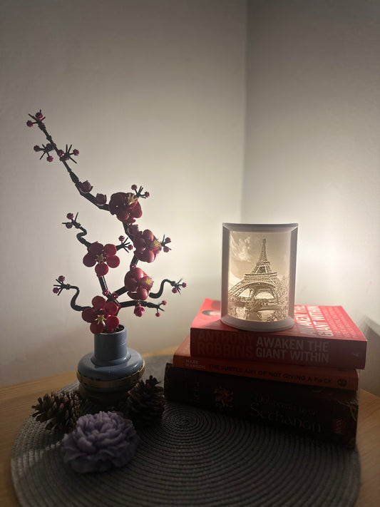 MoreLow Half Cilinder